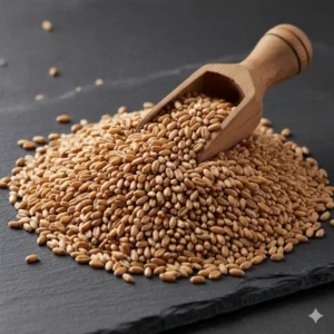 super raktwadi (सुपर रक्तवाड़ी)