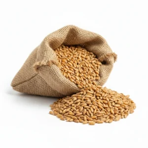 खपली गहु — khapli wheat