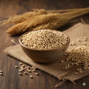 दगडी — dagdi jowar